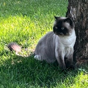 Meet your Posher, Aven